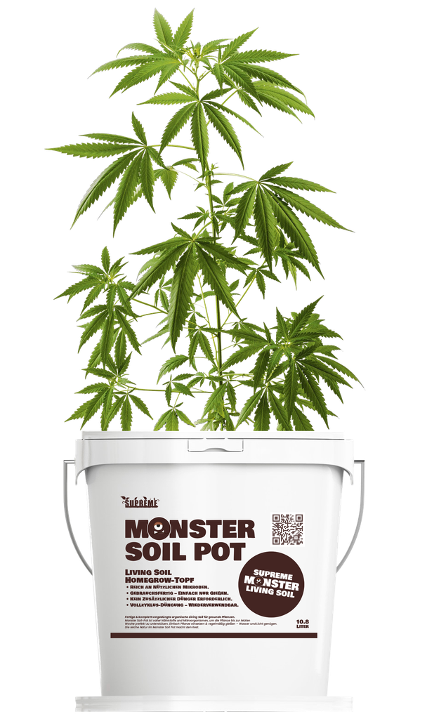Monster Soil Homegrow Pot 11L