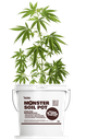 Monster Soil Homegrow Pot 11L