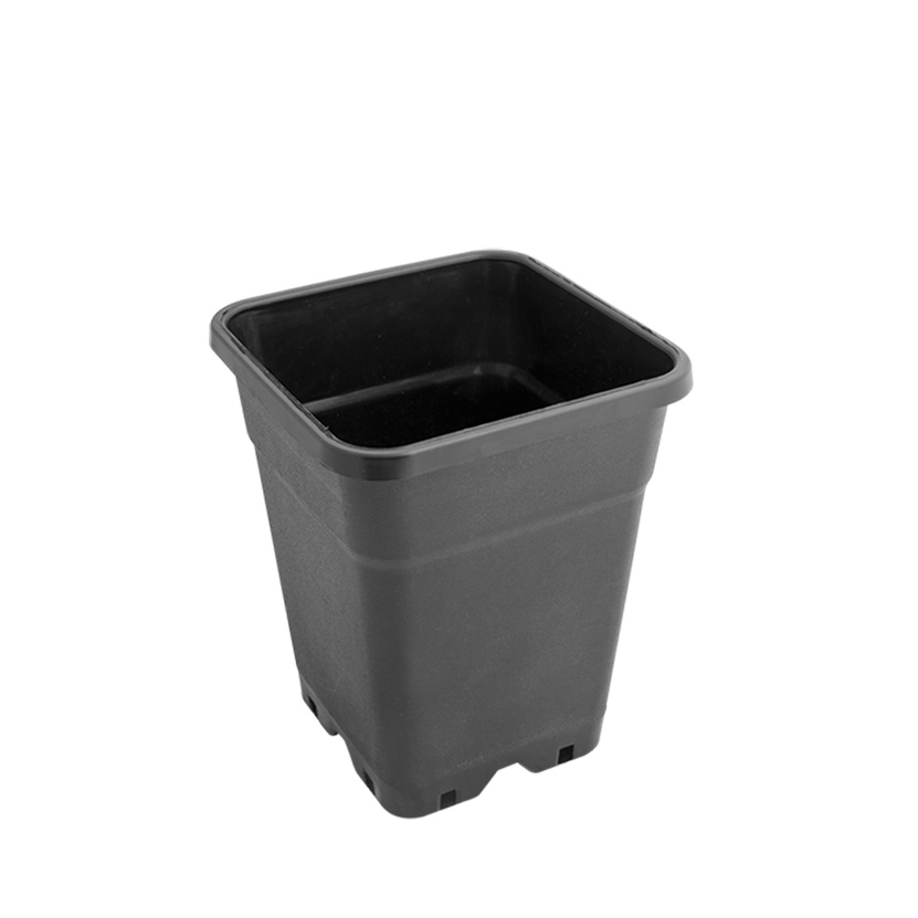Pot Square - 11 L