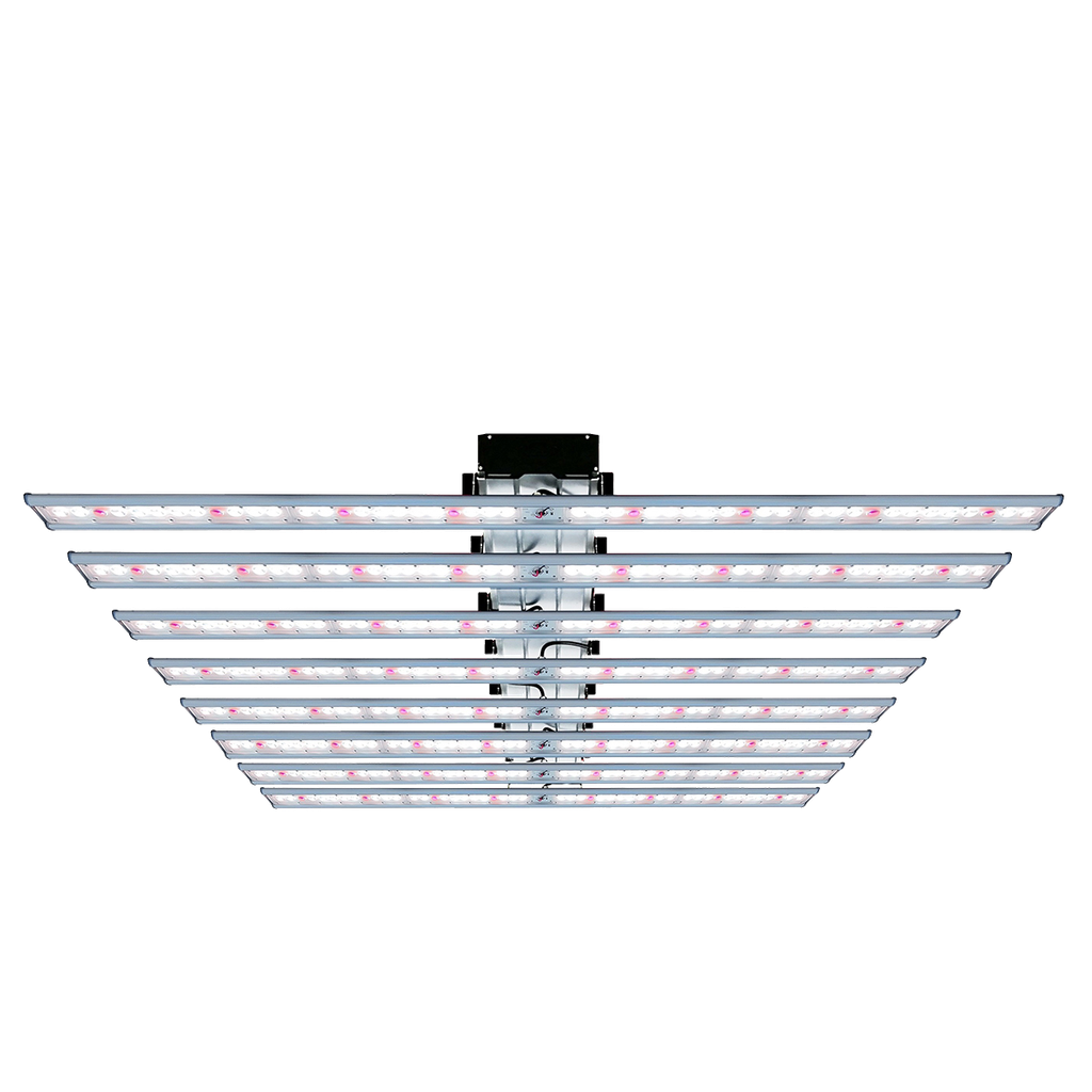King LED Platinum (800 W) Incl Control Connection