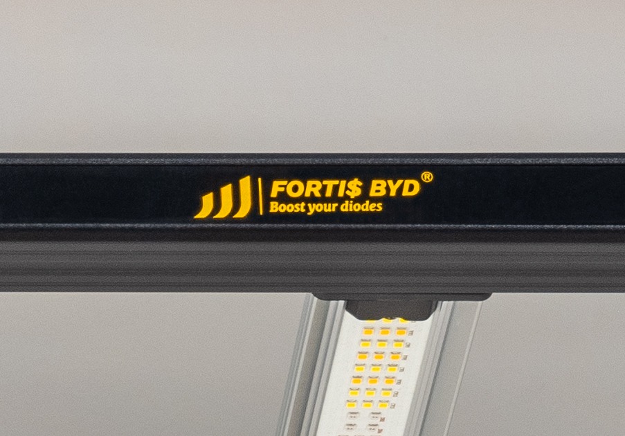 Fortis BYD LED 720W