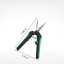 Scissor Straight