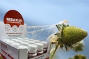NEEM PLUS | CropControl | 30 ml