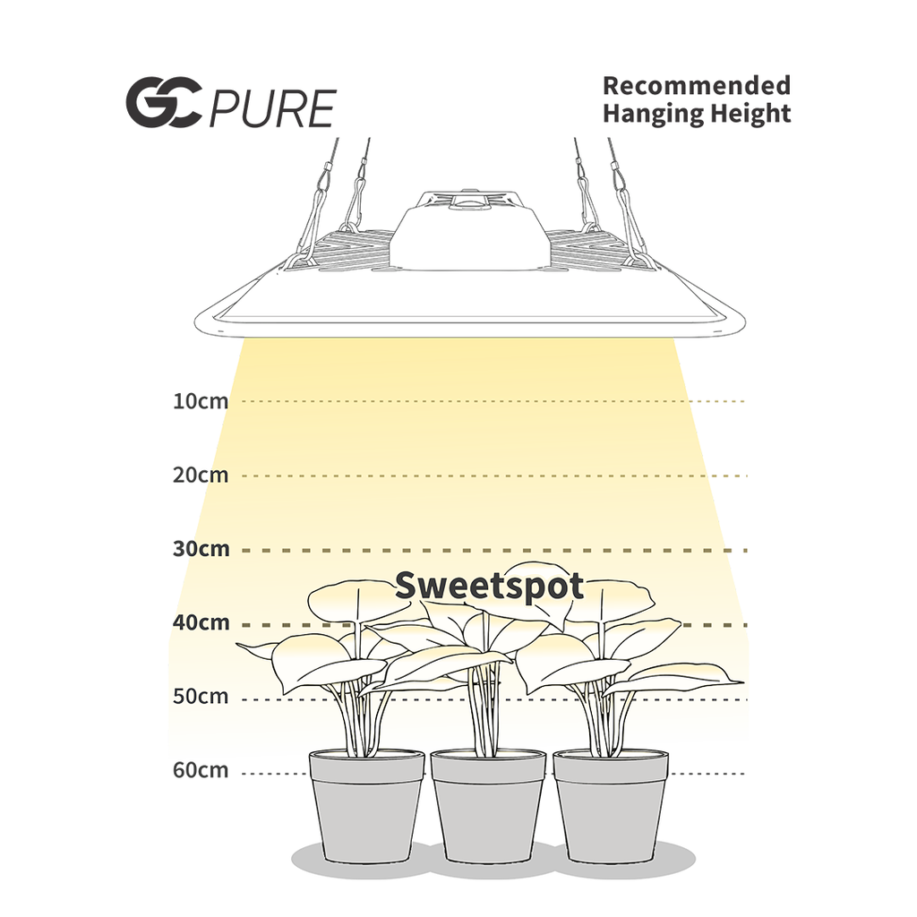 GC-PURE