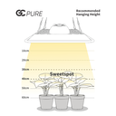 GC-PURE
