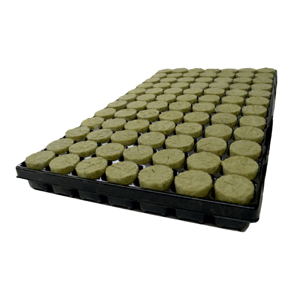 AgraWool Plug Basic 84 in tray | 38/40mm hole (Box of 11 trays)