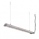 Hortimol TLED 60W Grow