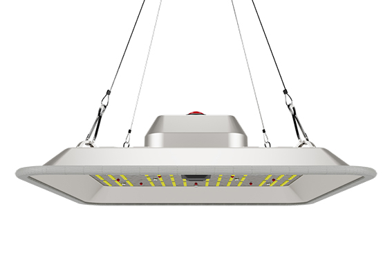 Greenception GC-PURE