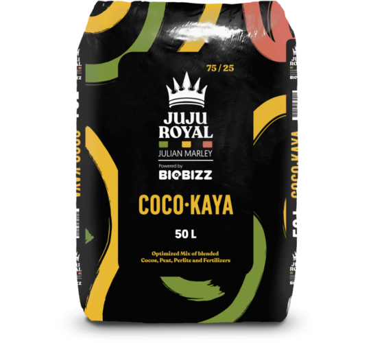 Biobizz Juju Royal Coco·Kaya | 50L