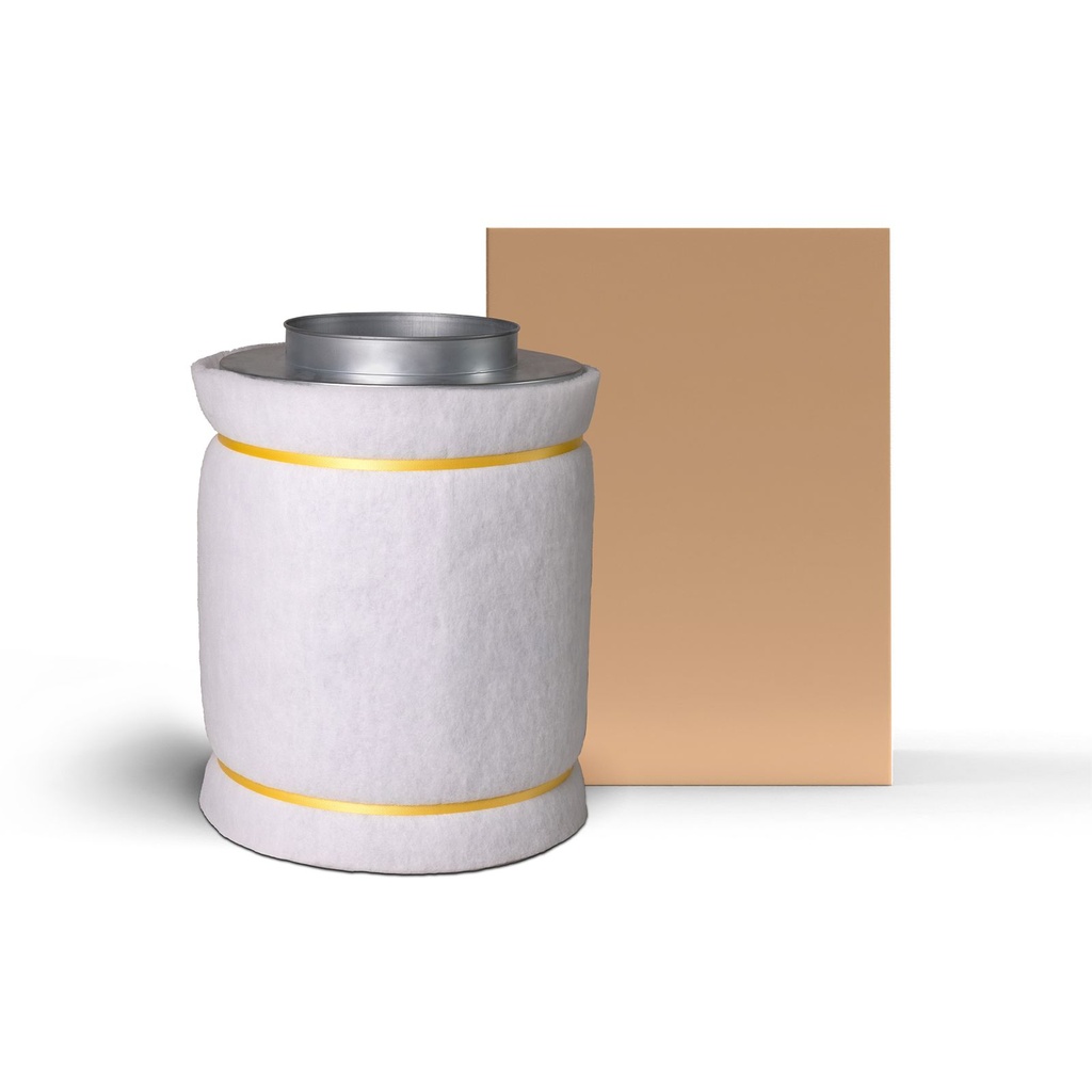 High Flow Carbon Filter 800m3 | 200 Ø