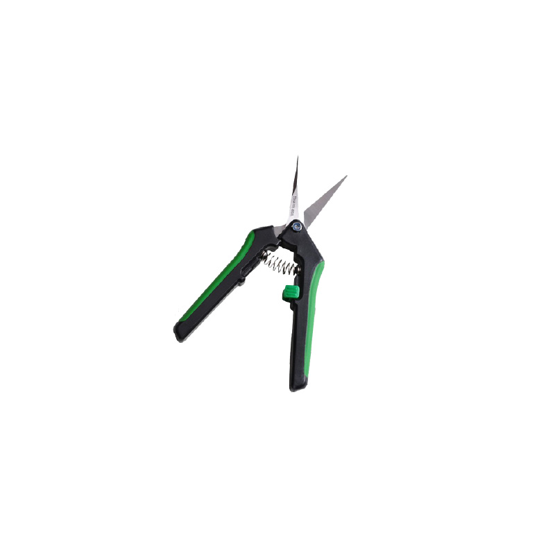 Scissor Straight