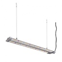 Hortimol TLED 40W Grow