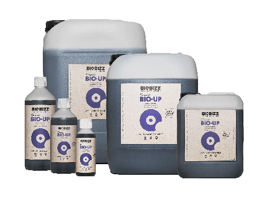 [C8BIZ940528] BioBizz Bio·Up pH Regulator | 1 L