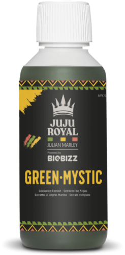 [C8BIZG202000] BioBizz Juju Royal Green·Mystic - Vitality Stimulant | 250 ml