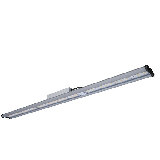 [C8DMH103] LED bar Daystar (100 W) Platinum