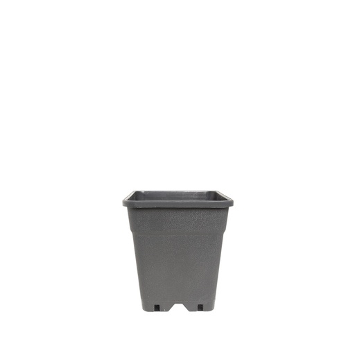 [C8DMH44001] Topf Quadratisch - 3,5 L